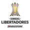 Copa Libertadores