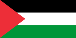 Palestine(w) U20 logo