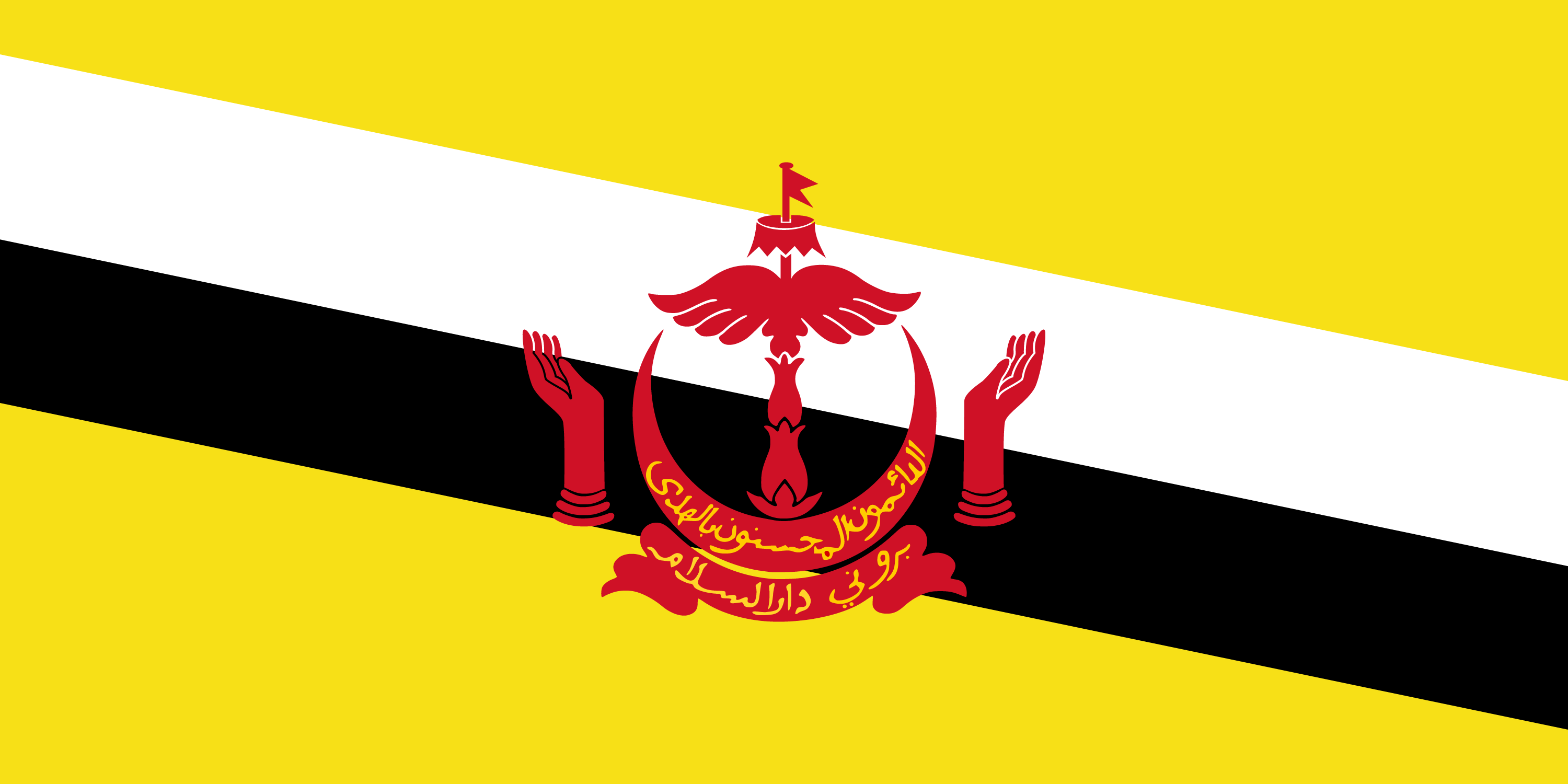 Brunei Darussalam U20 logo