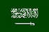 Ả Rập Saudi U23 logo