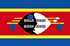 Eswatini U17 logo