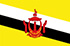 Brunei Darussalam U16 logo