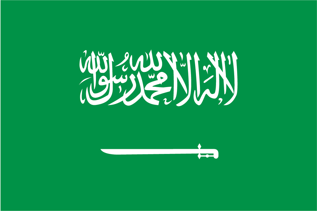 Saudi Arabia Futsal logo