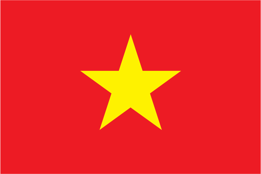 Vietnam Futsal logo