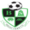 Birtley Town logo