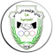 Al Ittihad Shojaeyya logo