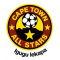 Cape Town All Stars logo