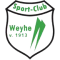 SC Weyhe logo