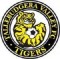 Tallebudgera Valley FC logo