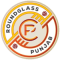 Punjab FC logo