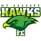 Mount Gravatt Hawks Reserve logo