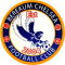 Berekum Chelsea logo