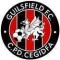 Guilsfield logo