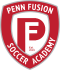 Penn Fusion Sa(w) logo