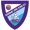 Dinamo San Juan logo