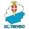 Treviso logo