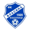 Vlasina logo