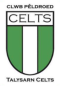 Talysarn Celts logo