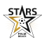 Palm Beach Stars logo