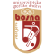 FK Bosna Sarajevo logo