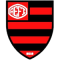 Flamengo Do Ipiranga U20 logo