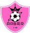 FC Arbaer logo