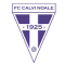 Calvi Noale logo