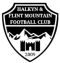 Flint Mountain logo