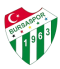 Bursaspor U18 logo