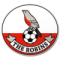 Downton FC logo