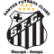 Santos AP logo