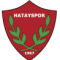 Hatayspor U21 logo