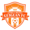 Anhui Hefei Guiguan logo