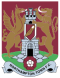 Northampton Town U18 logo