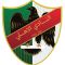 Al Ahly logo