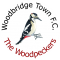 Woodbridge Town logo