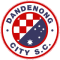 Dandenong City U21 logo