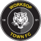 Worksop Town U18 logo