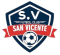 San Vicente (w) logo