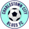 Charlestown Azzuri(w) logo