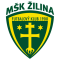 Zelina logo