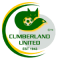 Cumberland United Reserves logo