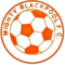 Mighty Blackpool logo