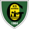 GKS Katowice U19 logo