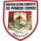 Penedo Gordo logo