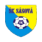 SK Sasova logo