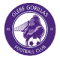 Glebe Gorillas FC logo