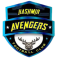 Kashmir Avenger logo