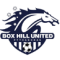 Box Hill United U21 logo