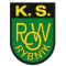 ROW Rybnik U19 logo